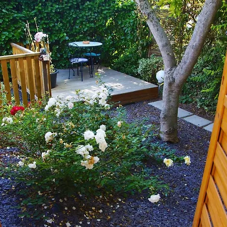 Apartment Nature And Garden